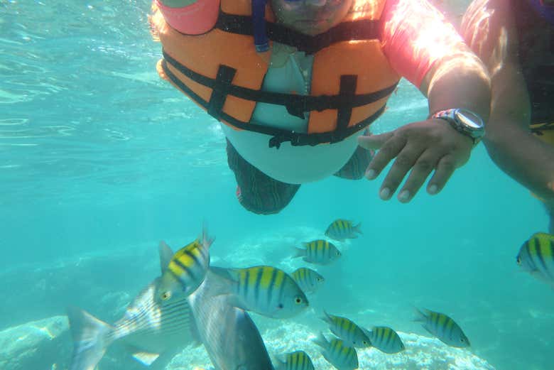 Snorkel en playa las Gatas