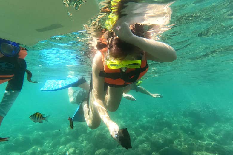 Haciendo snorkel en aguas del Pacífico