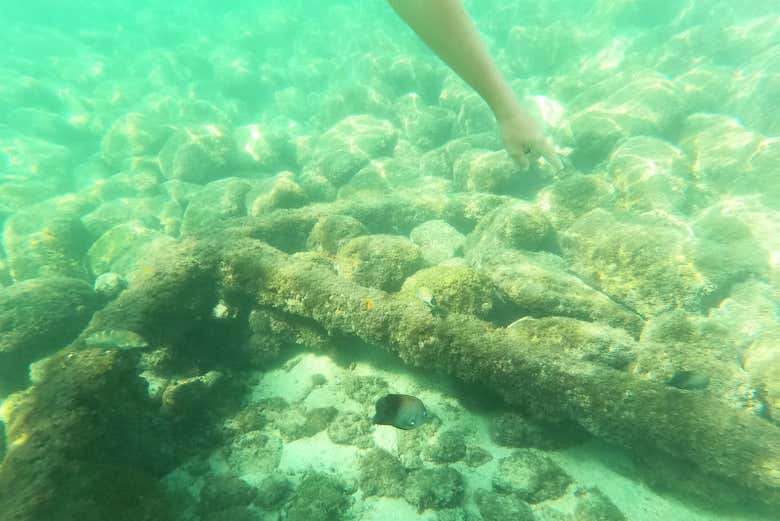Contemplando los fondos marinos de la playa Las Gatas
