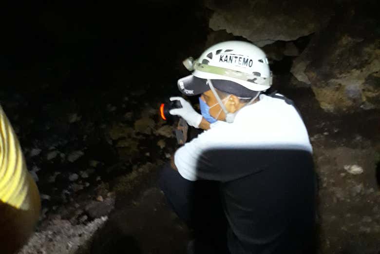 Durante la visita guiada