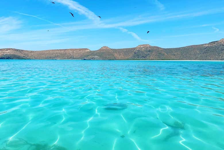 Aguas turquesas