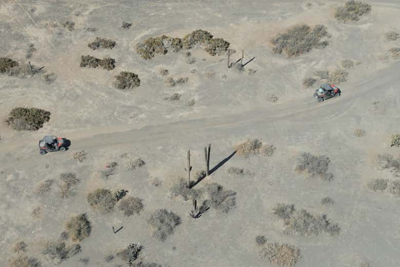 Explore the desert of Baja California Sur