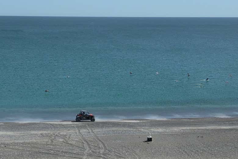 Enjoy a buggy ride by the beach