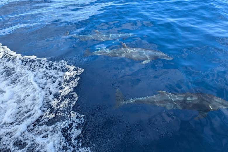 Get a close look at nature in its purest form