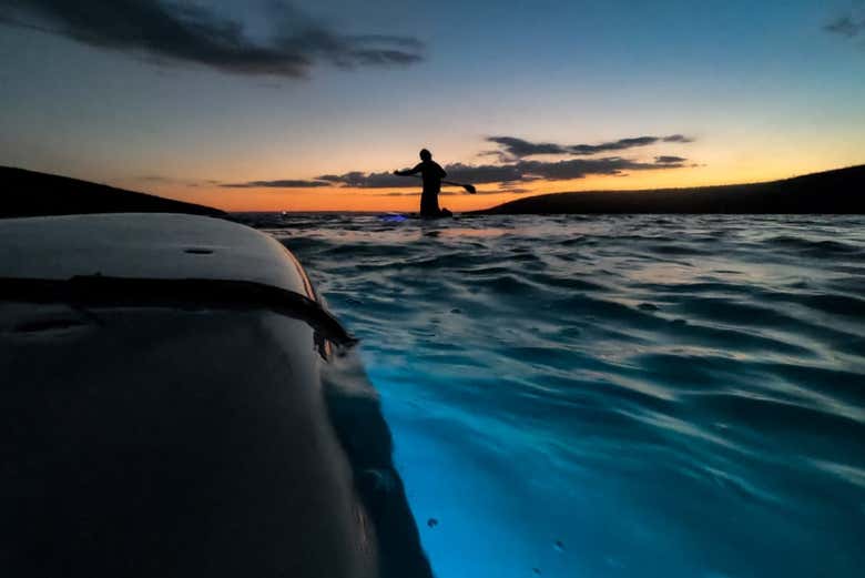 Disfrutando de la actividad de paddle surf