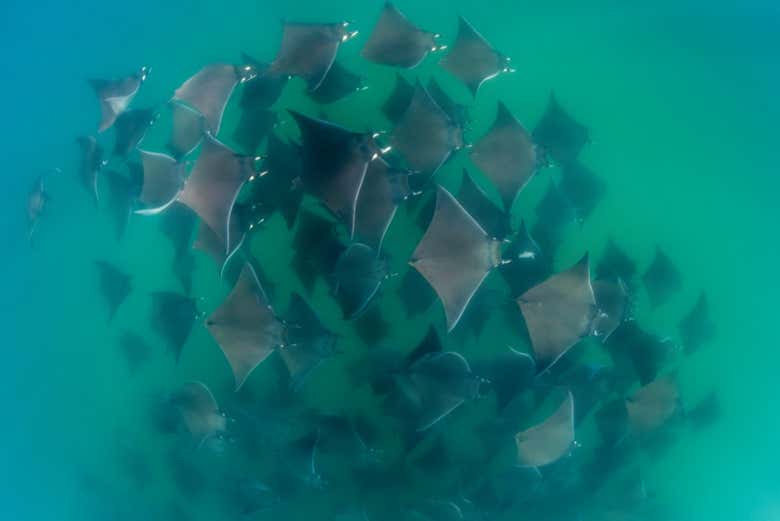 Make the most of your visit!