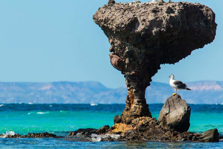 El Hongo de Balandra