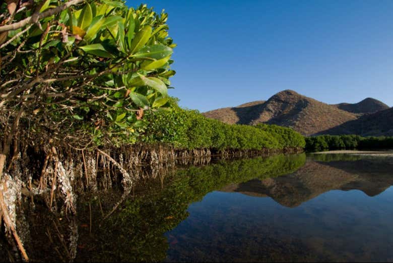 Veremos la fauna y flora endémica
