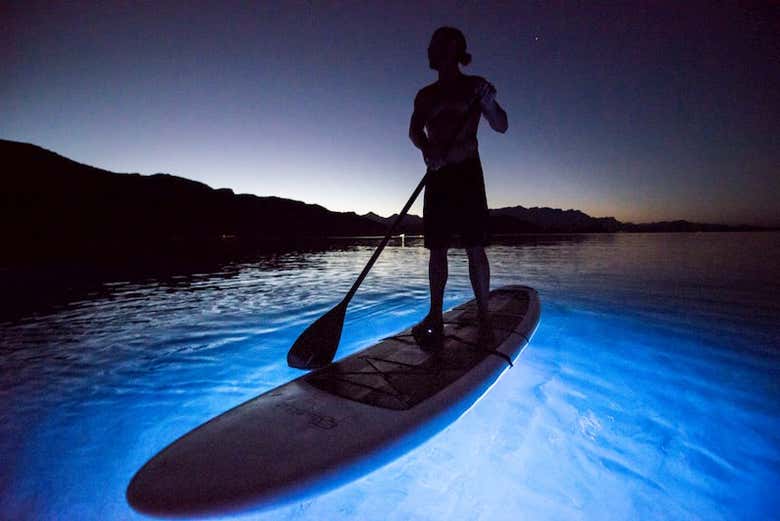 Prêt pour l'activité de paddle