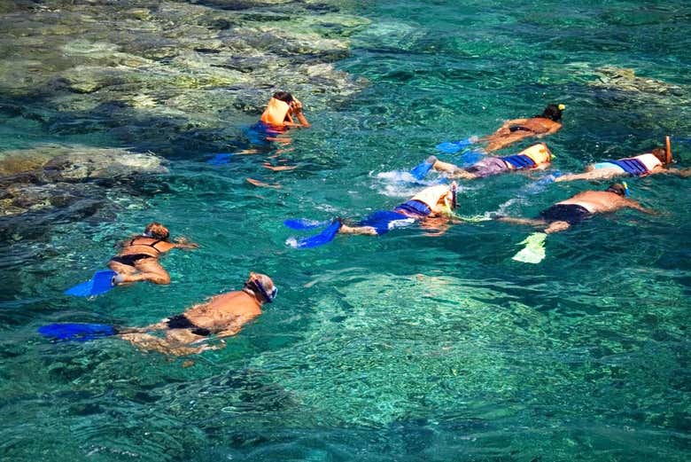 Haciendo snorkel en la granja de corales