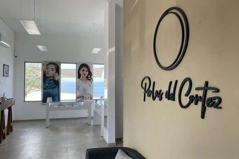 Vous découvrirez les techniques traditionnelles et modernes