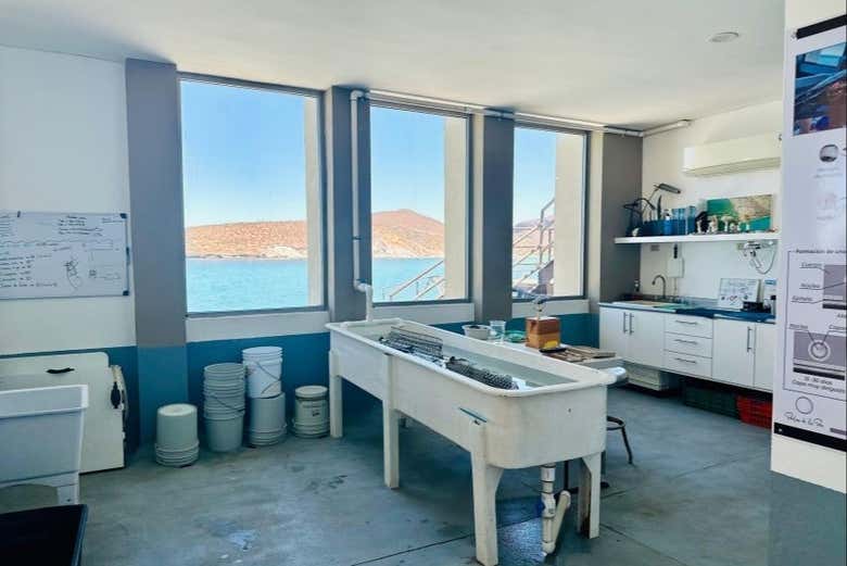 Vous découvrirez le monde fascinant des perles