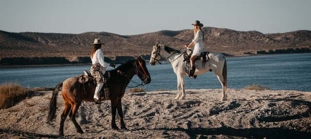 Passeio a cavalo pelo deserto e pela praia El Coyote