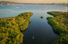 Tour de caiaque pelos manguezais do Mogote