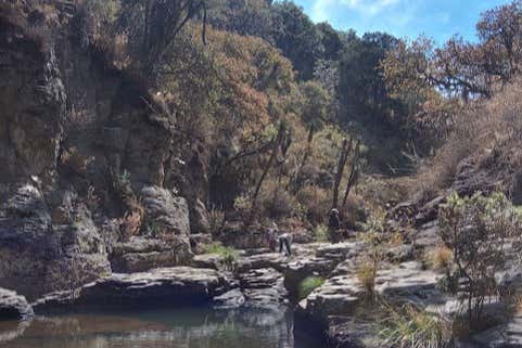 Esplorando i paesaggi della Sierra de Lobos