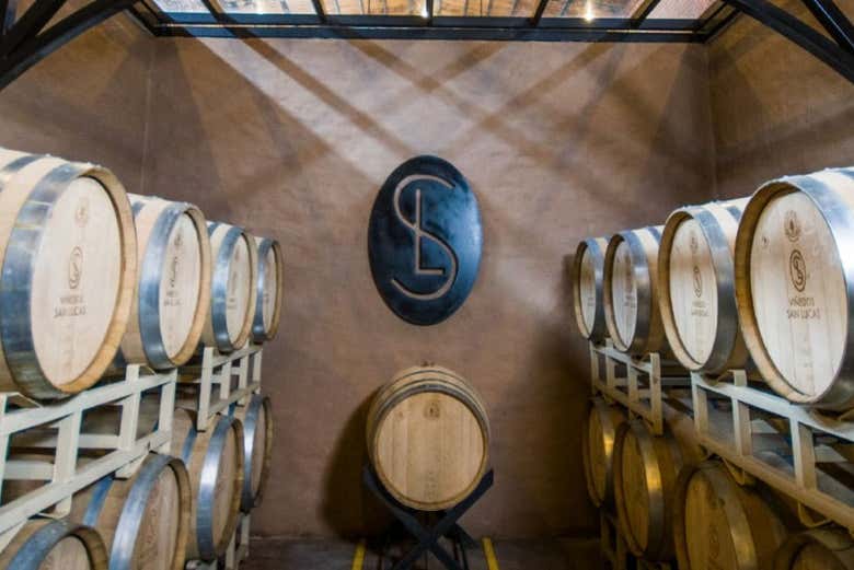 Sala delle botti della cantina