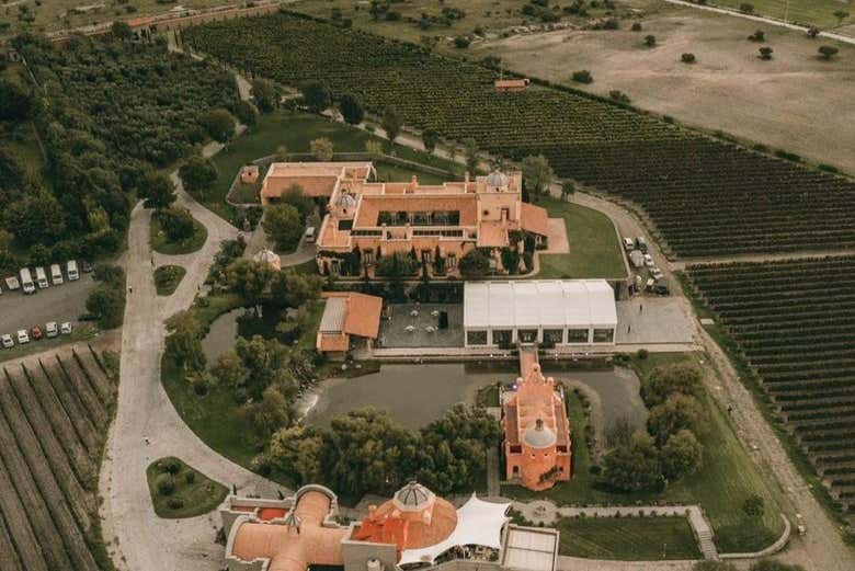 Vista aerea della cantina e dei vigneti