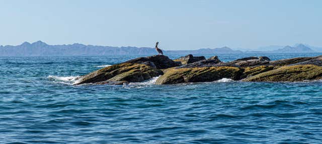 Excursión a la isla Coronado