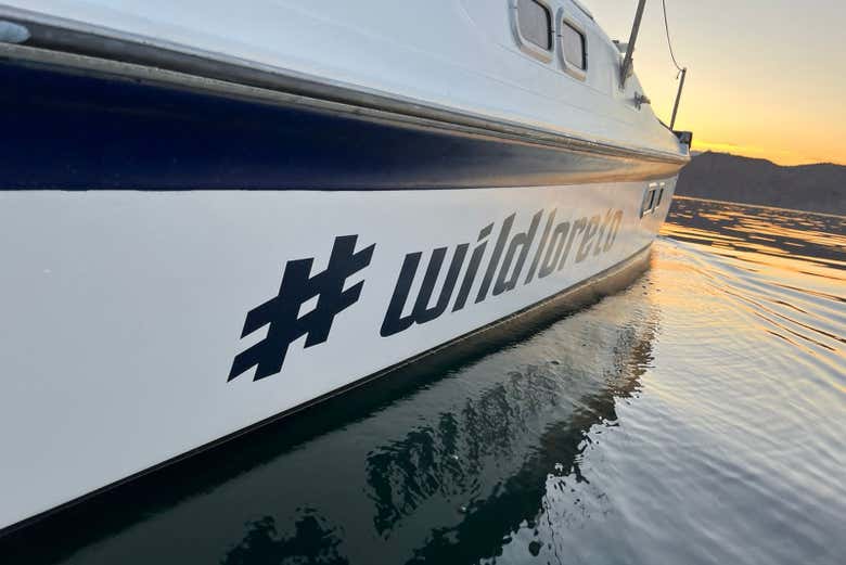 Catamarã navegando ao entardecer