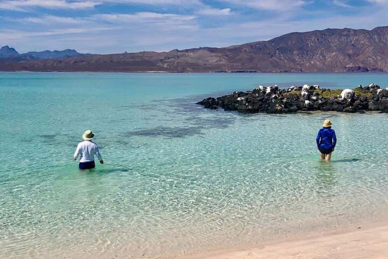 Você desfrutará de uma praia privada em uma das ilhas virgens