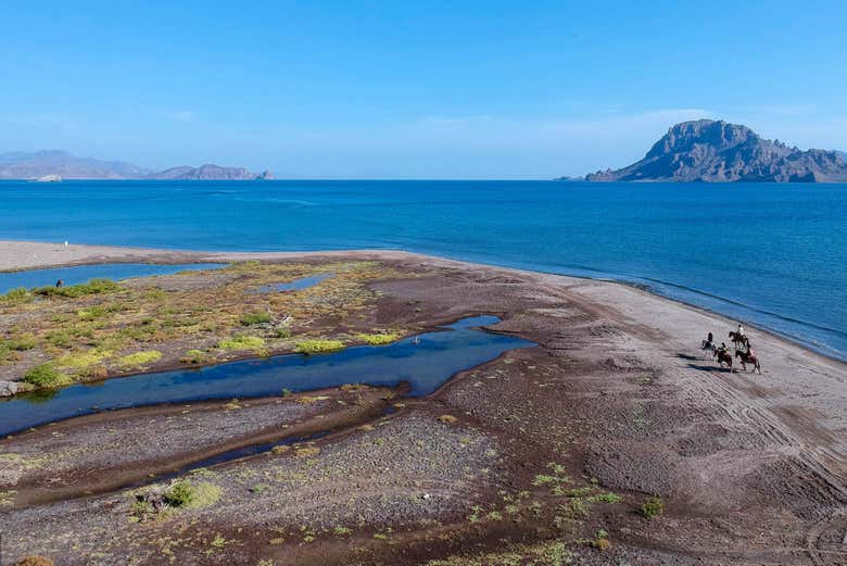 Admirando el mar de Cortés