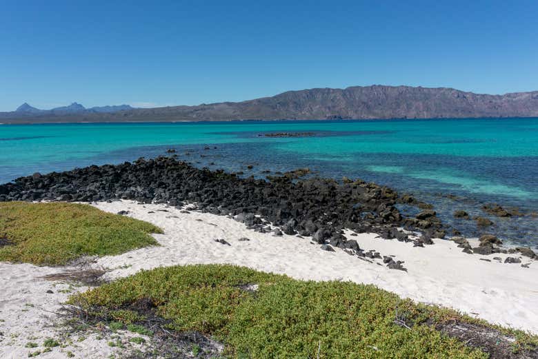 Disfrutando de la excursión a isla Coronado