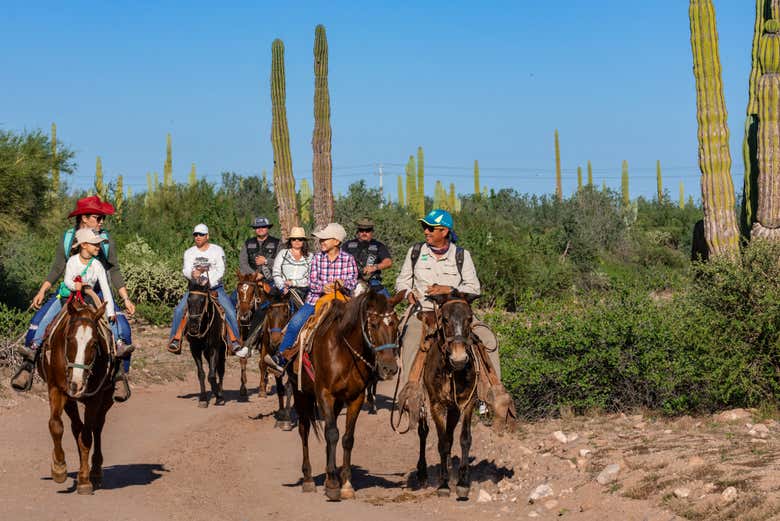 Atendiendo a las explicaciones del guía