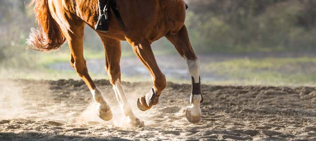 Balade à cheval dans le désert de Basse-Californie
