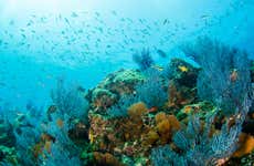 Immersione per principianti a Los Cabos