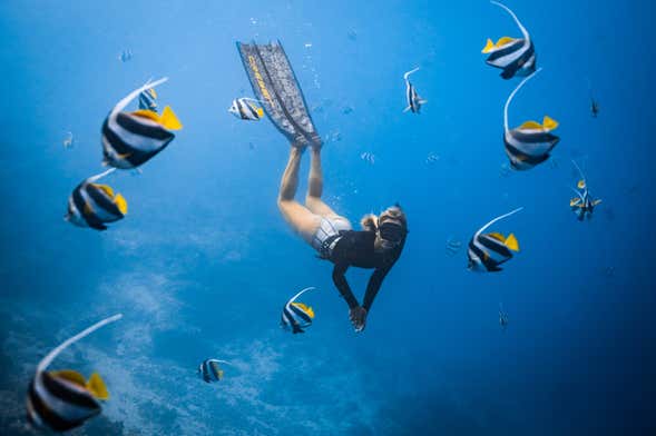 Excursión privada desde Los Cabos