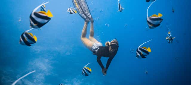 Excursão privada saindo de Los Cabos