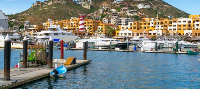 Visitas guiadas y free tours