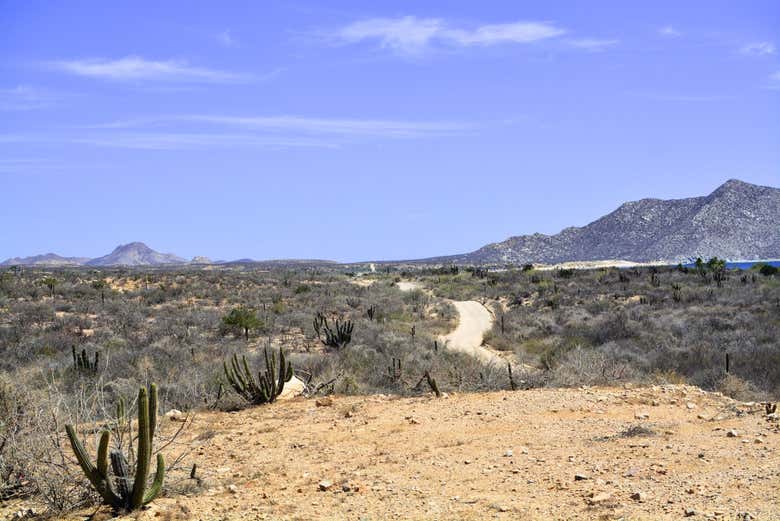 Caminos llenos de aventura