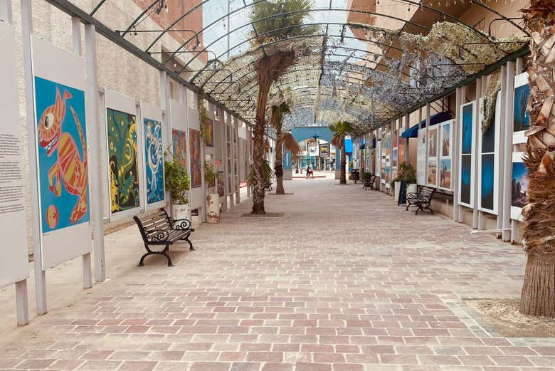 El arte de The Place at Cabo