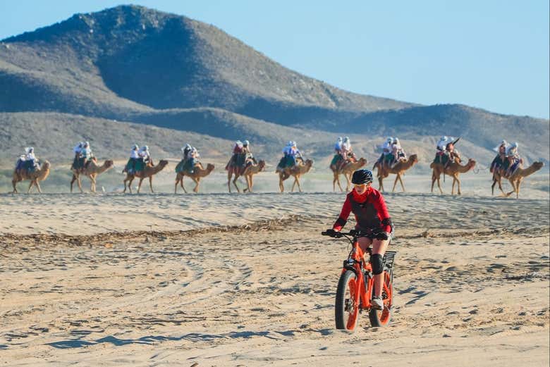 Pedal along the beach
