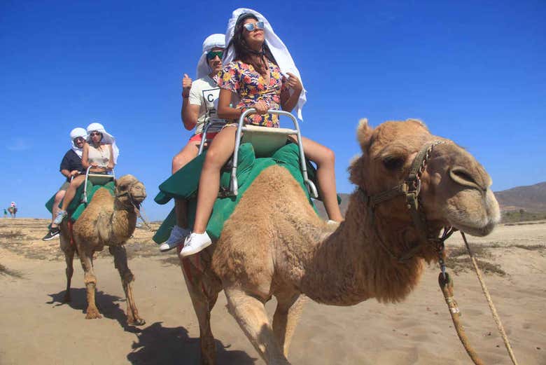 Ride a camel through the arid landscape
