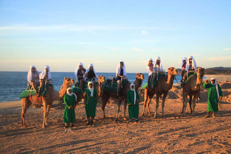 Enjoy a camel ride in Baja California