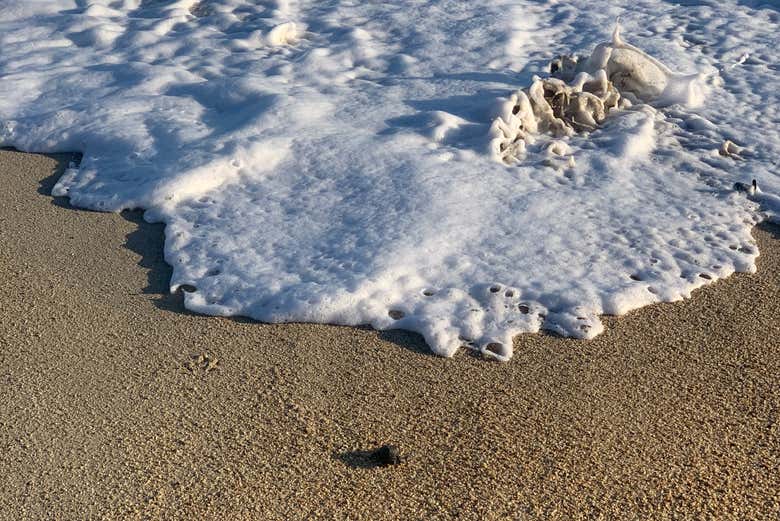 Uno de los momentos más esperados