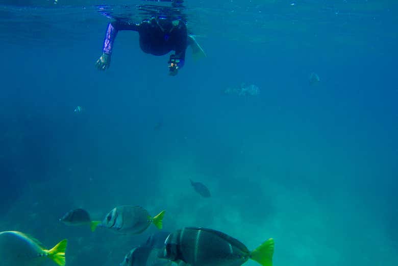Durante la actividad de snorkel