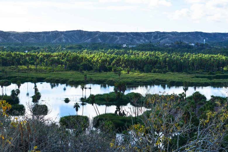 Paisajes de Fox Canyon