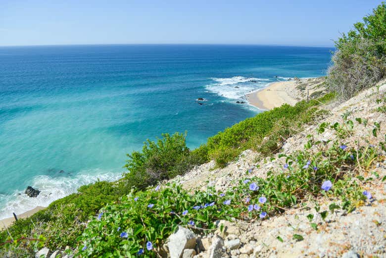 Vistas únicas