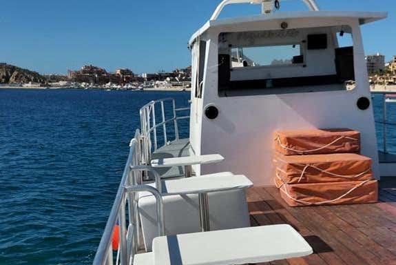 Underwater Viewing Boat Tour Los Cabos