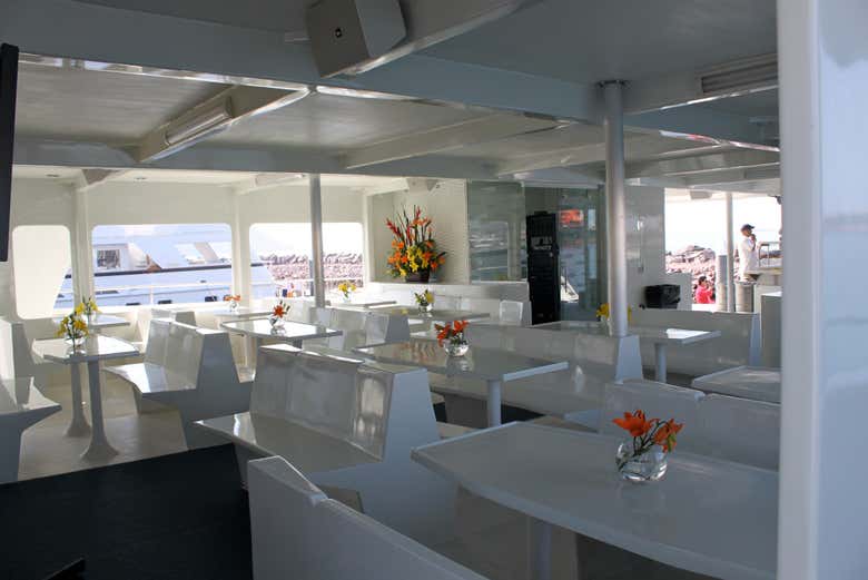 El interior del catamarán
