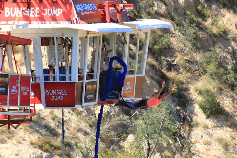 An amazing experience!