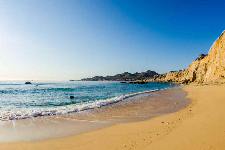 The Sea of Cortez