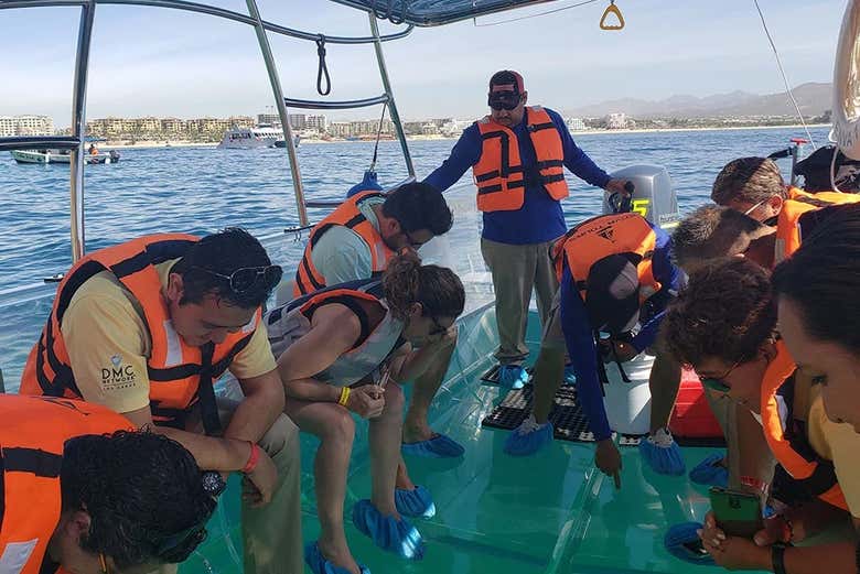 A romantic trip on the crystal-clear boat