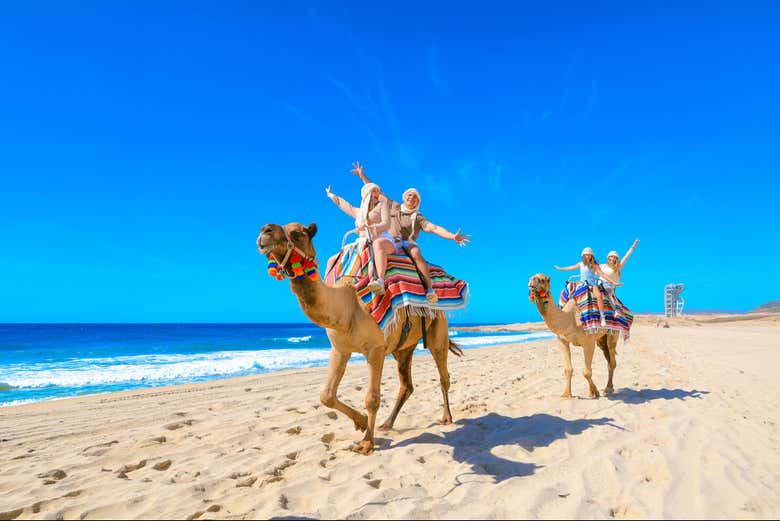 Recorriendo el desierto de Los Cabos