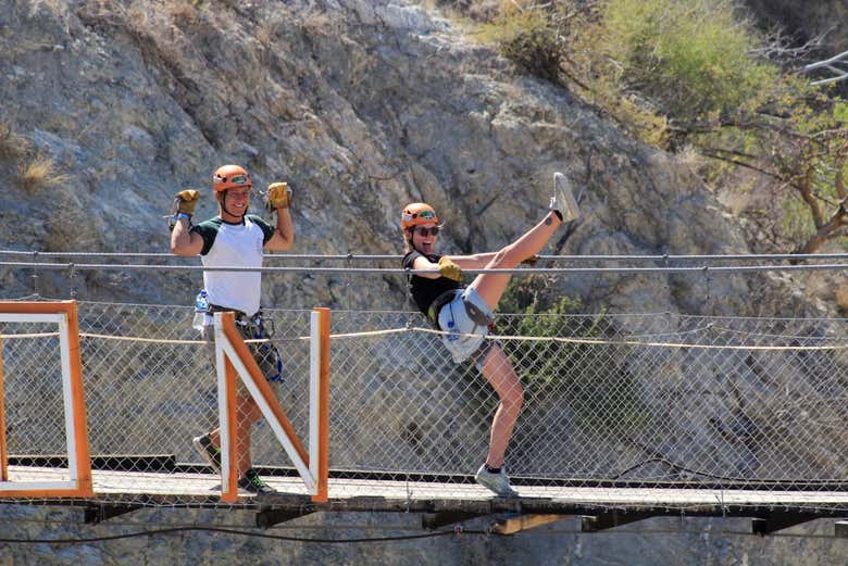 Suspension bridges at the park