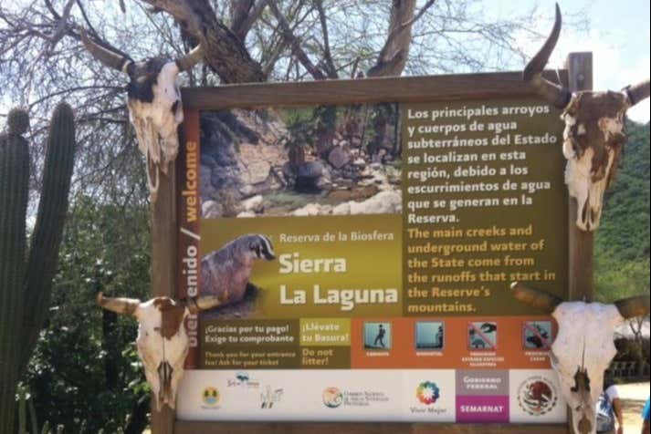 Sierra La Laguna