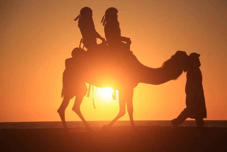 Ride a camel at sunset